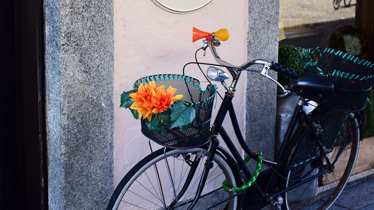 Обои велосипед, корзина, цветы