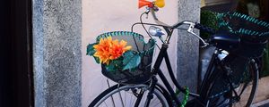 Превью обои велосипед, корзина, цветы