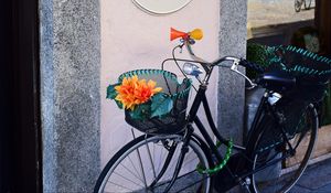 Превью обои велосипед, корзина, цветы
