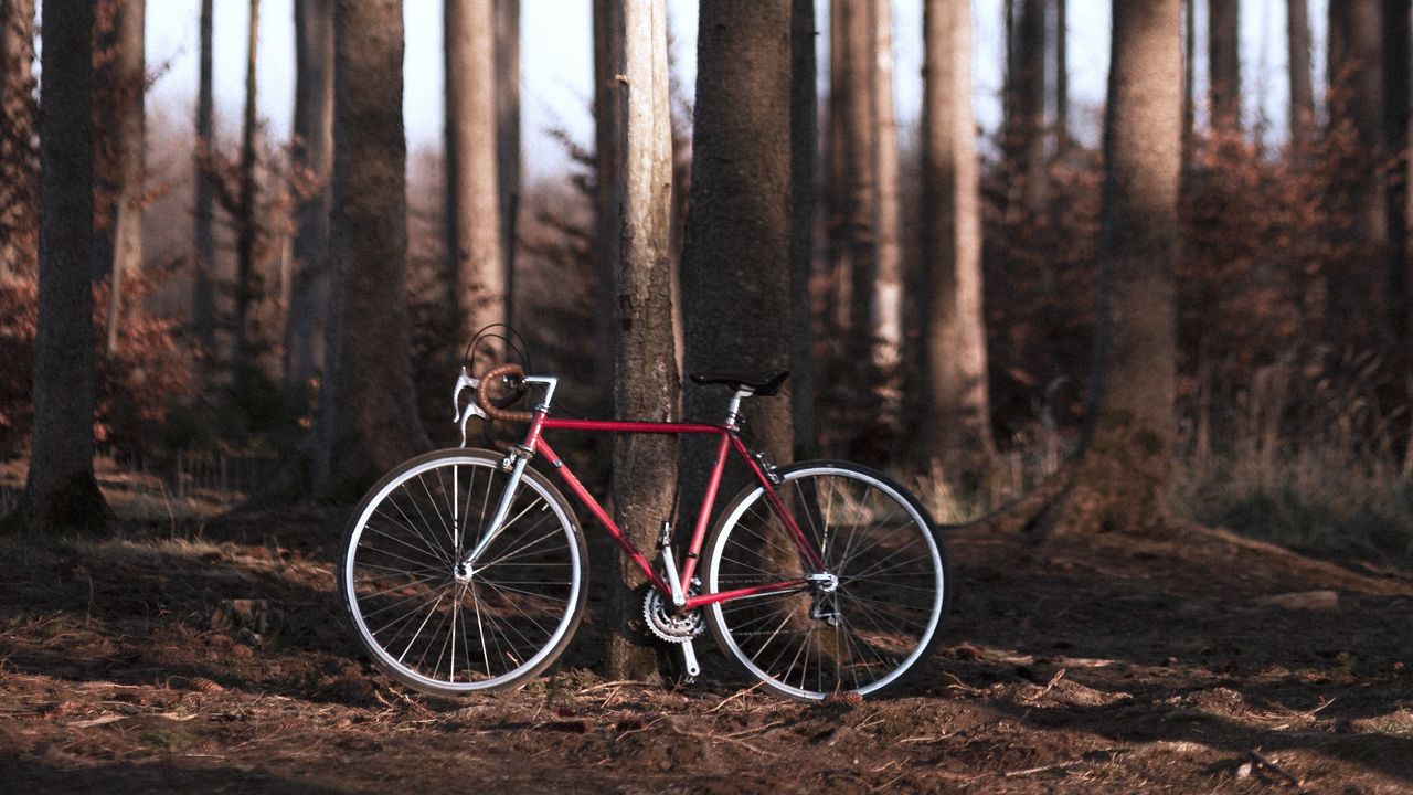 Обои велосипед, лес, деревья, спорт