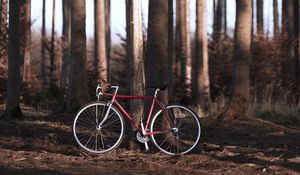 Превью обои велосипед, лес, деревья, спорт