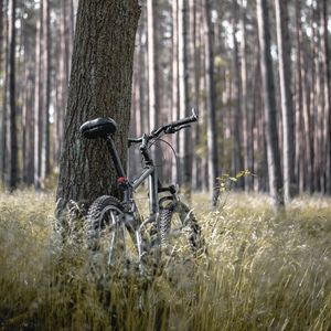 Превью обои велосипед, лес, деревья, прогулка
