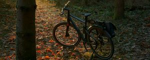 Превью обои велосипед, лес, деревья, листья, сухой, тропа, природа