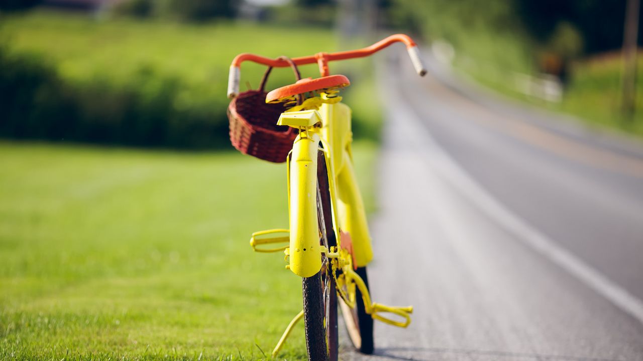 Обои велосипед, лето, трава, свет, дорога
