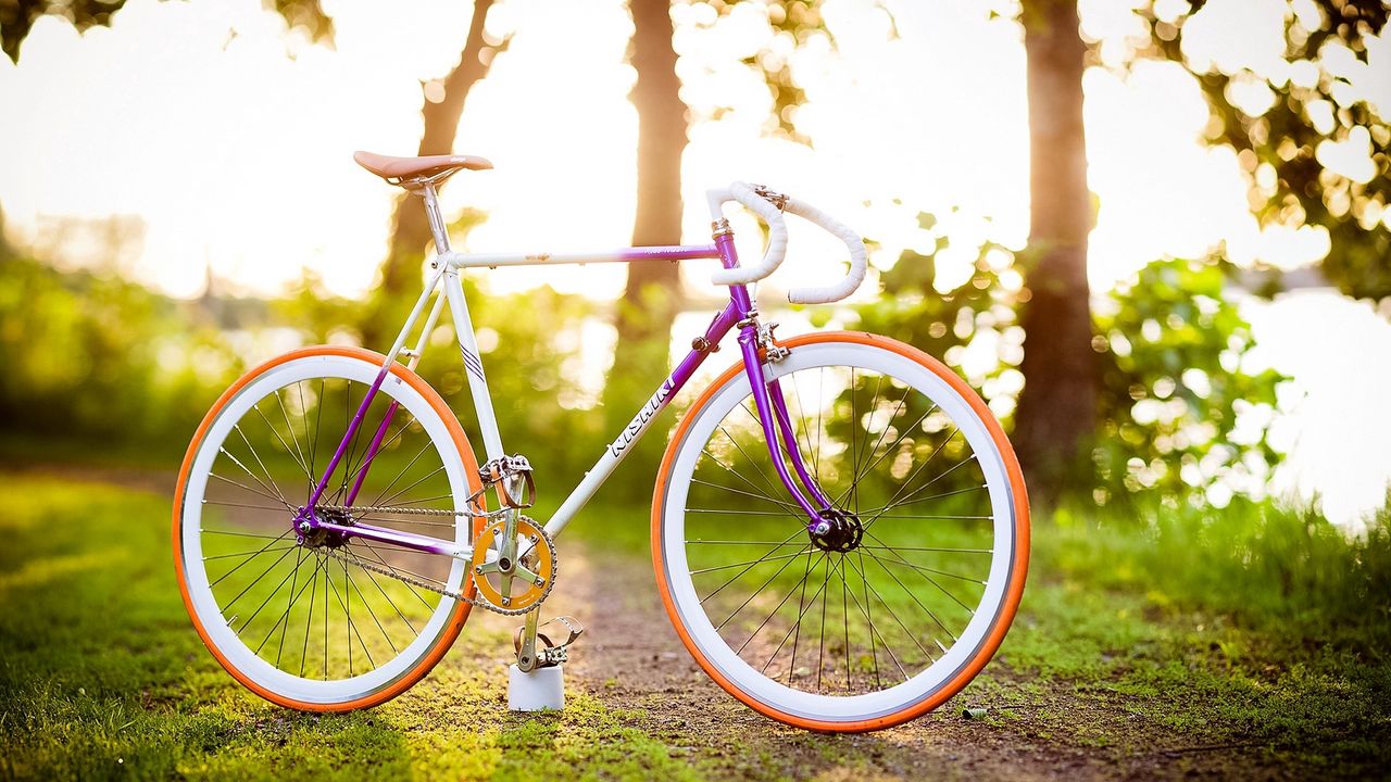 Обои велосипед, лето, весна, солнце, настроение