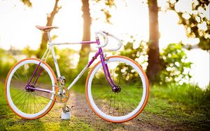 Превью обои велосипед, лето, весна, солнце, настроение