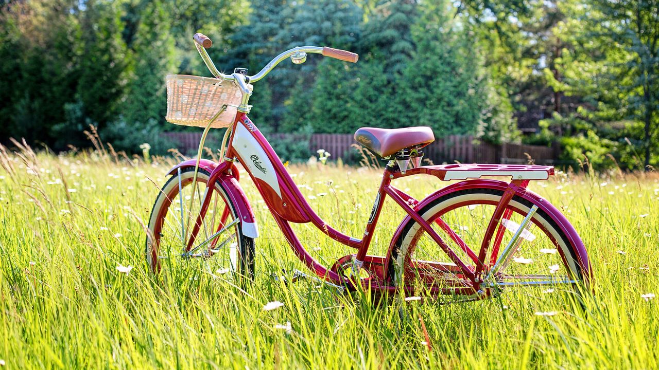 Обои велосипед, лето, винтажный, солнечный свет