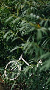 Превью обои велосипед, листья, ветки, зеленый