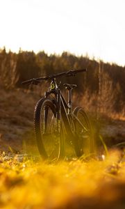 Превью обои велосипед, mtb, черный, природа