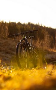 Превью обои велосипед, mtb, черный, природа