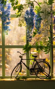 Превью обои велосипед, окно, статуэтка, цветы