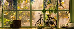 Превью обои велосипед, окно, статуэтка, цветы