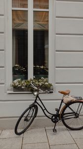 Превью обои велосипед, окно, цветы