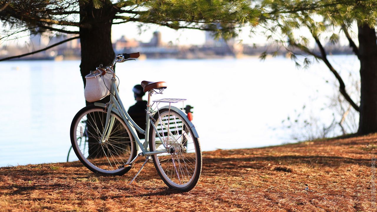 Обои велосипед, осень, деревья, листва, река