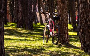 Превью обои велосипед, парк, деревья, природа