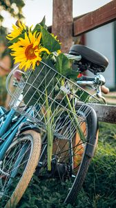 Превью обои велосипед, подсолнухи, цветы, корзина