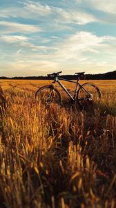 Превью обои велосипед, поле, трава, горизонт, небо