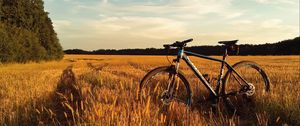 Превью обои велосипед, поле, трава, горизонт, небо