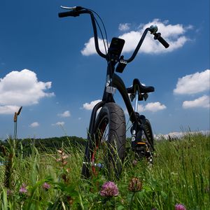 Превью обои велосипед, поле, трава, зелень