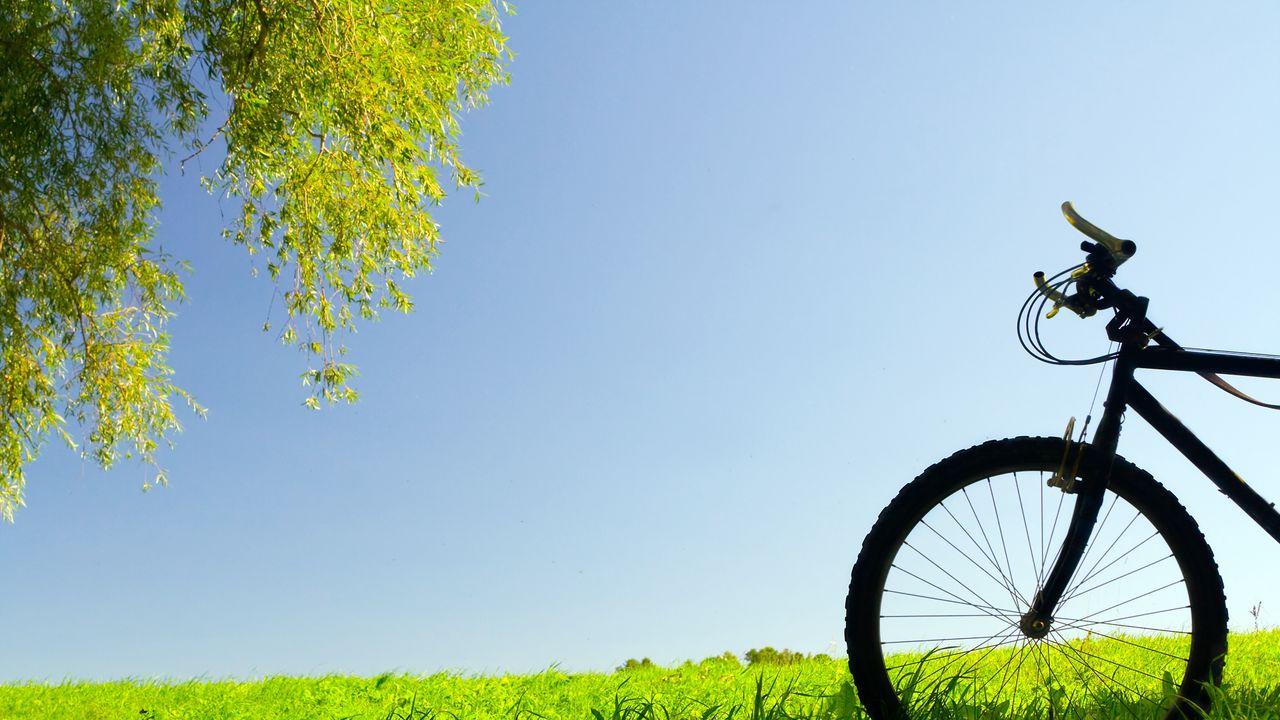 Обои велосипед, поле, трава, деревья