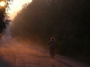 Превью обои велосипед, ребенок, девочка, катание, дорога, лес, солнечный свет