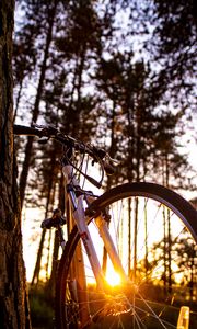 Превью обои велосипед, солнечный свет, лето