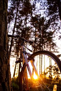 Превью обои велосипед, солнечный свет, лето