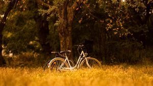 Превью обои велосипед, транспорт, деревья, лес