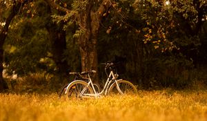 Превью обои велосипед, транспорт, деревья, лес