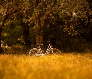 Превью обои велосипед, транспорт, деревья, лес