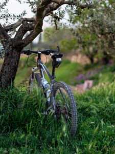 Превью обои велосипед, трава, деревья