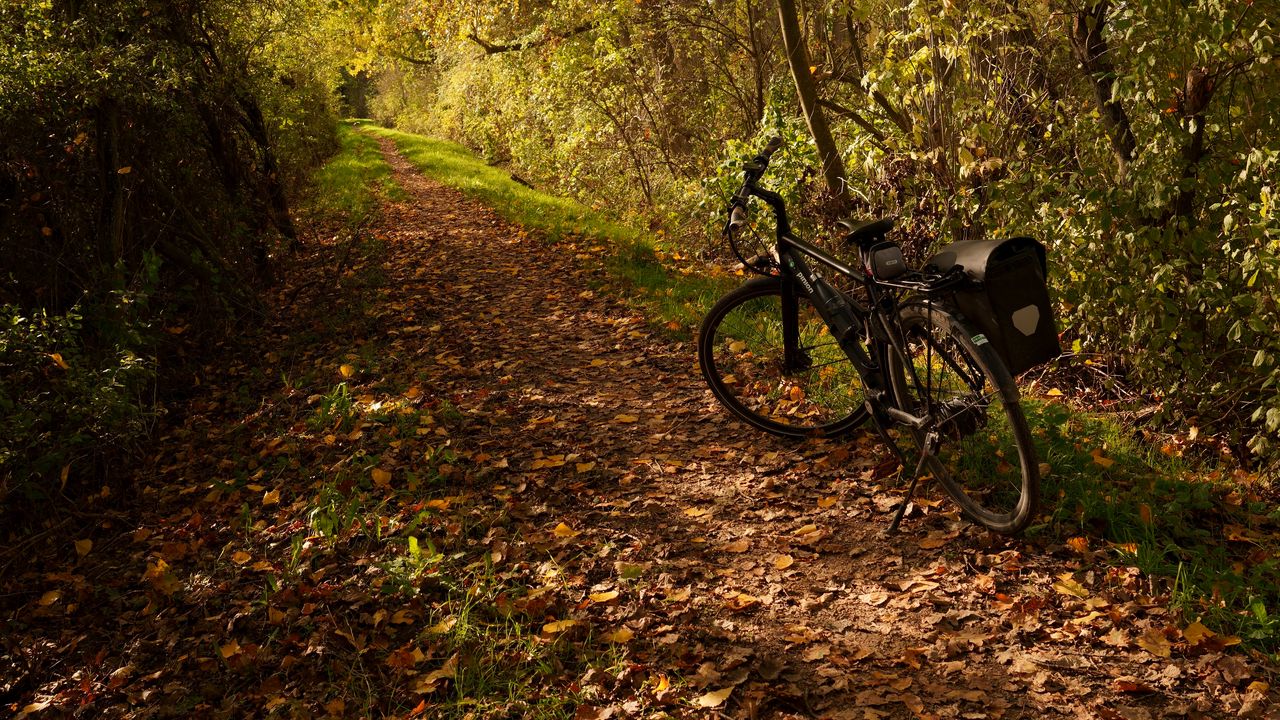 Обои велосипед, тропа, листья, деревья, осень