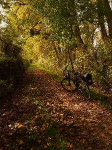 Превью обои велосипед, тропа, листья, деревья, осень