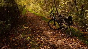 Превью обои велосипед, тропа, листья, деревья, осень