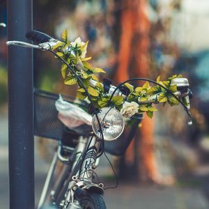 Превью обои велосипед, цветы, фара