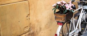 Превью обои велосипед, цветы, корзина