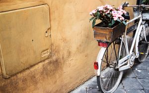 Превью обои велосипед, цветы, корзина