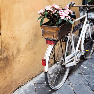 Превью обои велосипед, цветы, корзина