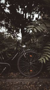 Превью обои велосипед, ветки, листья, деревья, темный