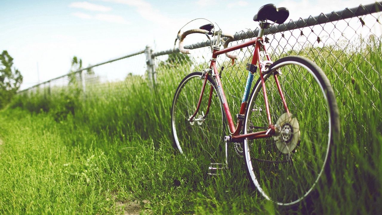 Обои велосипед, забор, изгородь, поле, трава, лето