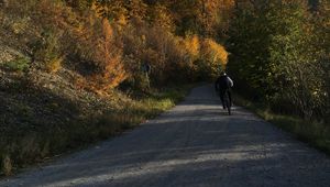 Превью обои велосипедист, велосипед, дорога, лес, деревья