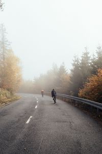 Превью обои велосипеды, велосипедисты, дорога, туман, поездка