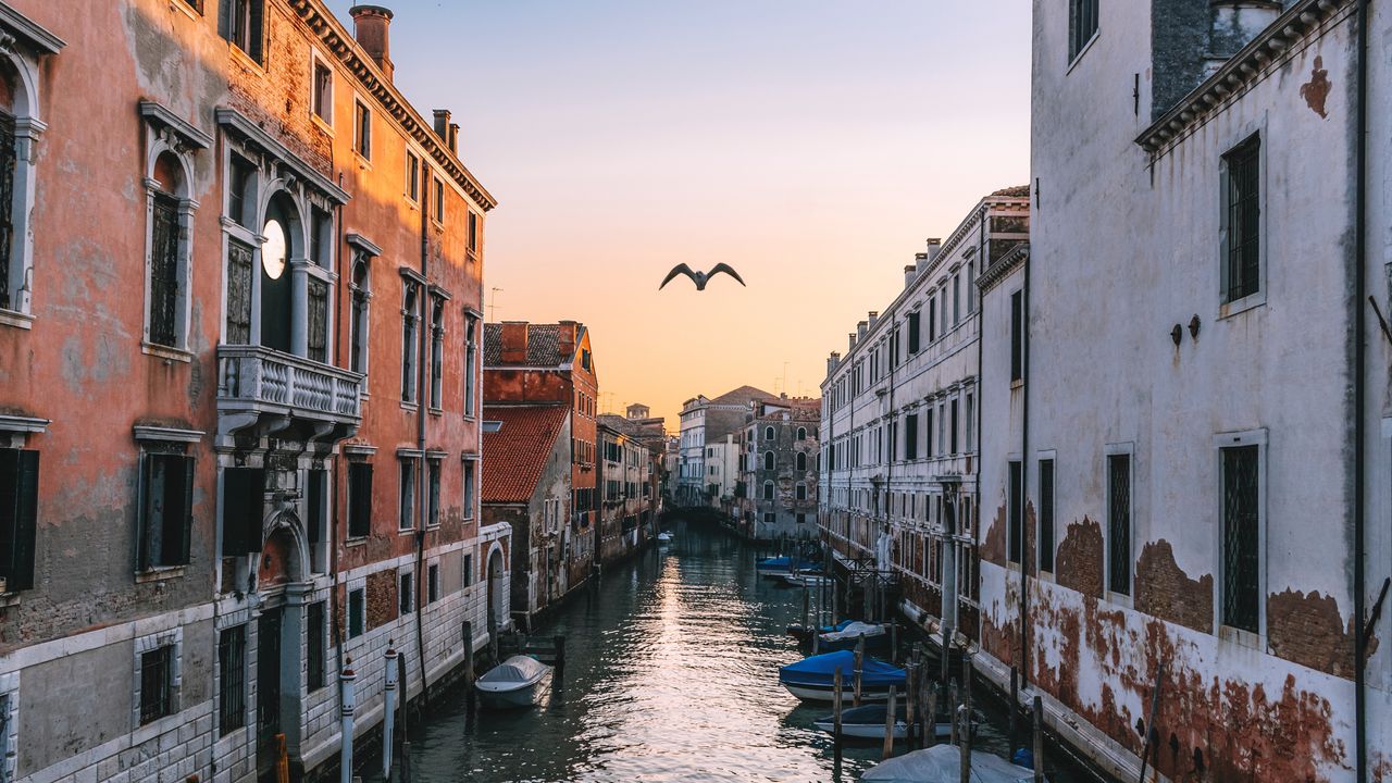 Обои венеция, италия, канал, чайка, река