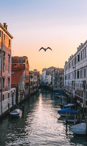 Превью обои венеция, италия, канал, чайка, река