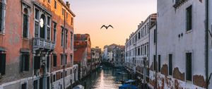 Превью обои венеция, италия, канал, чайка, река