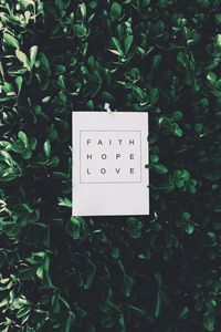 Превью обои вера, надежда, любовь, надпись