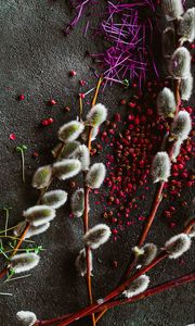 Превью обои верба, растения, специи, текстура