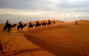 Превью обои верблюды, караван, пустыня, сафари, дюна