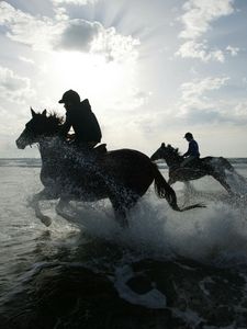 Превью обои верховая езда, лошади, брызги, силуэты, солнце