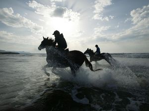 Превью обои верховая езда, лошади, брызги, силуэты, солнце
